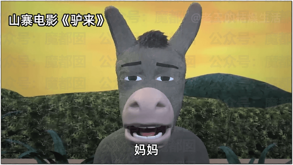 驴来